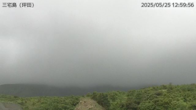 三宅島 坪田のライブカメラ