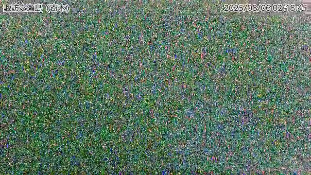 諏訪之瀬島 寄木のライブカメラ