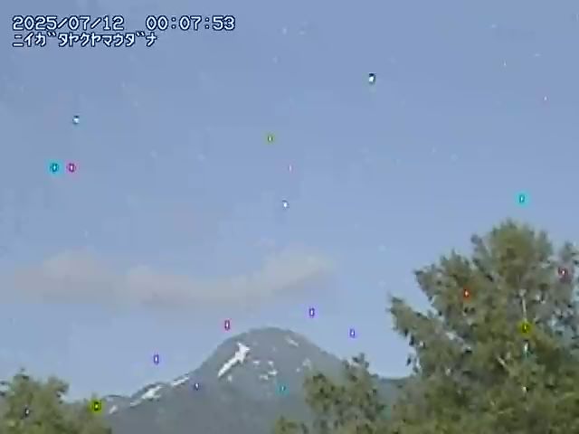 新潟焼山 宇棚のライブカメラ