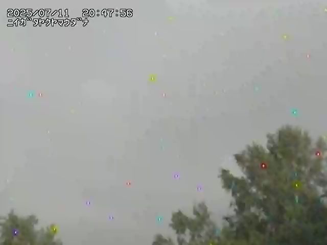 新潟焼山 宇棚のライブカメラ