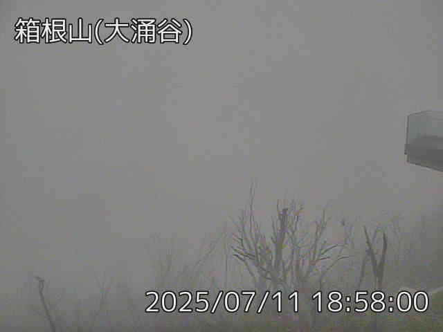 箱根山 大涌谷のライブカメラ