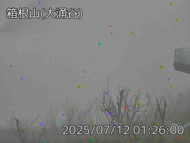 箱根山 大涌谷のライブカメラ