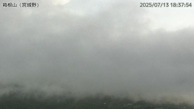 箱根山 宮城野のライブカメラ