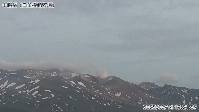十勝岳 白金模範牧場のライブカメラ