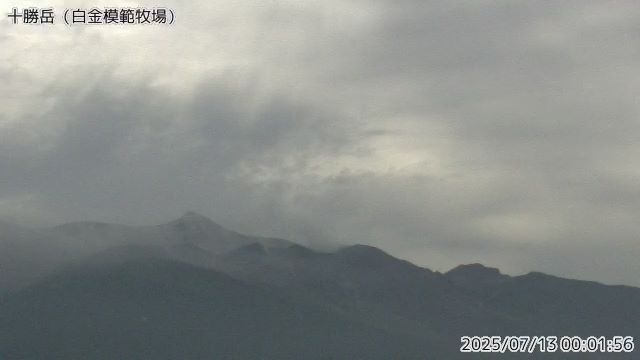 十勝岳 白金模範牧場のライブカメラ