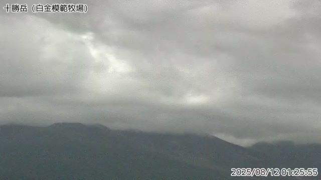 十勝岳 白金模範牧場のライブカメラ