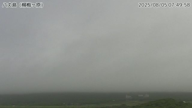 八丈島 楊梅ヶ原のライブカメラ