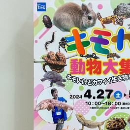 【富山市】GWはファボーレへ変わった生き物を見に行こう！　「キモカワ動物大集合！」は5月6日まで