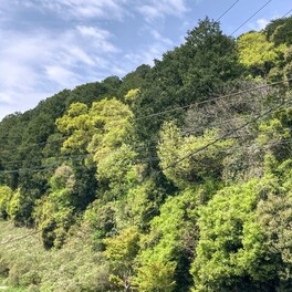 【近江八幡市】GW中に期間限定の御朱印をゲット！　八幡山ロープウェーで新緑の季節特別企画が実施中です