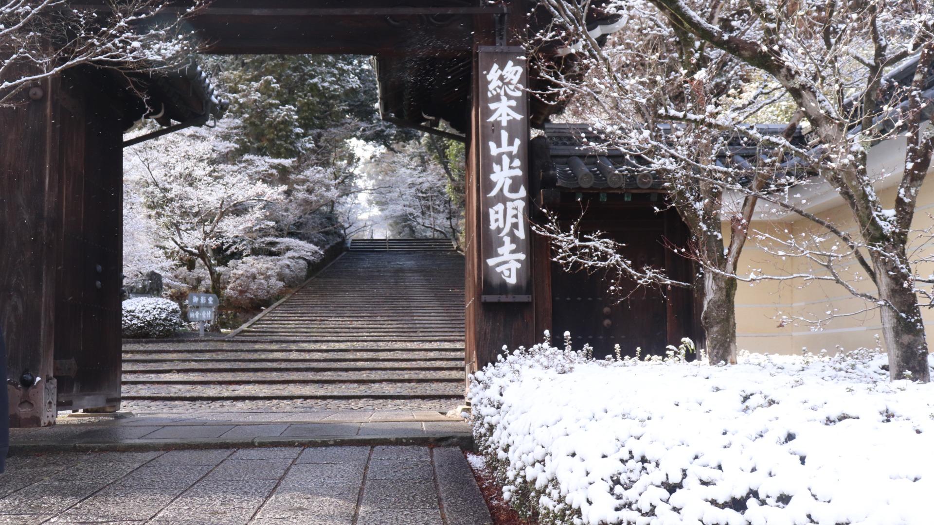 【長岡京市・向日市・大山崎町】大雪注意報が出ています。積雪や突風に注意を呼びかけ！