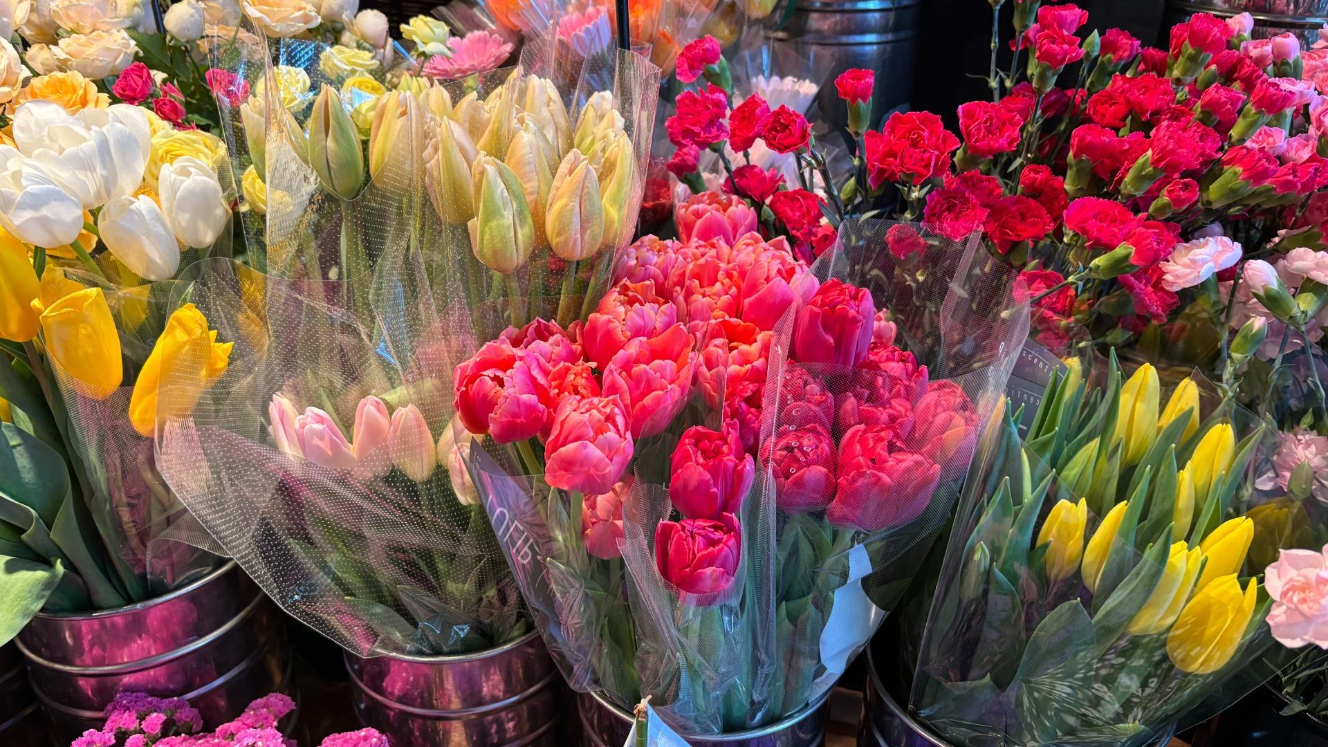 【向日市】華やかな花たちに迎えられる。季節の花が多く春はそこまで。