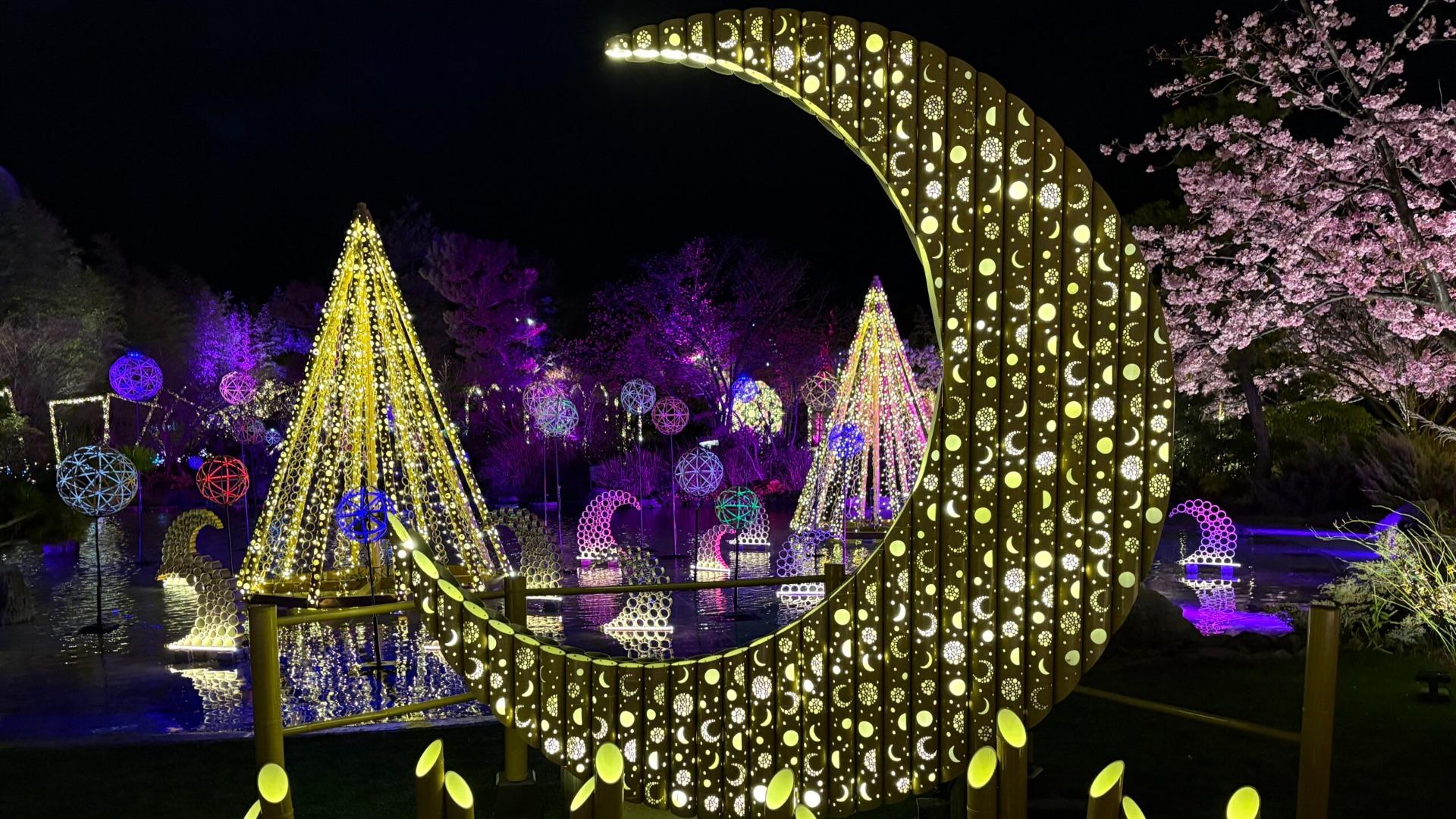 【熊本市】早咲き桜と竹あかりが彩る春の幻想庭園。第三章『かぐや姫の光る庭』～月に咲く、光の桜～開催。