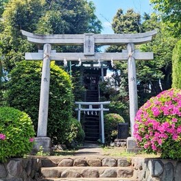 「名所ではない」のに「花見参拝客が絶えない」小さな神社。椿と桜に続いて「ツツジ」が見頃です／藤沢市