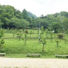 【東大阪市】緑豊かな広場でピクニック！遊具もあって子供との時間も楽しめます。