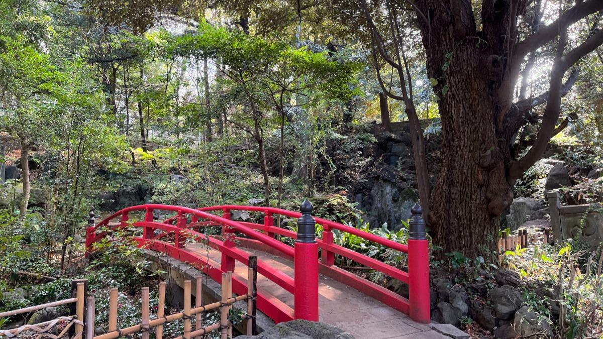 喧騒を逃れる…！東京23区にある緑に囲まれた都会のオアシス神社4選。おでかけライター厳選