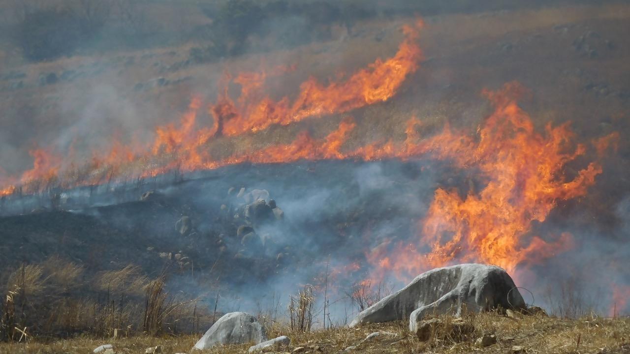 【北九州市小倉南区】小倉南区の春の風物詩「平尾台の野焼き」が実施。交通規制区域にご注意を。