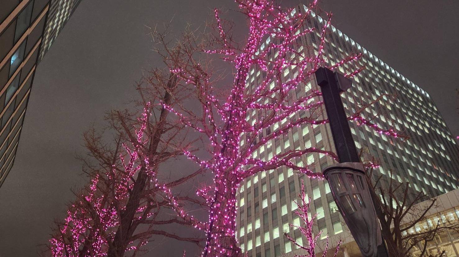 【札幌市】いよいよフィナーレ。「さっぽろホワイトイルミネーション」は3月14日（土）までですよ