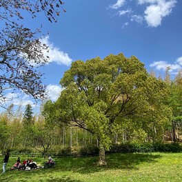 【名古屋市天白区】初夏に歩きたい名古屋の緑地・ハイキングコース｜絵になる景色が広がる「牧野ヶ池緑地」