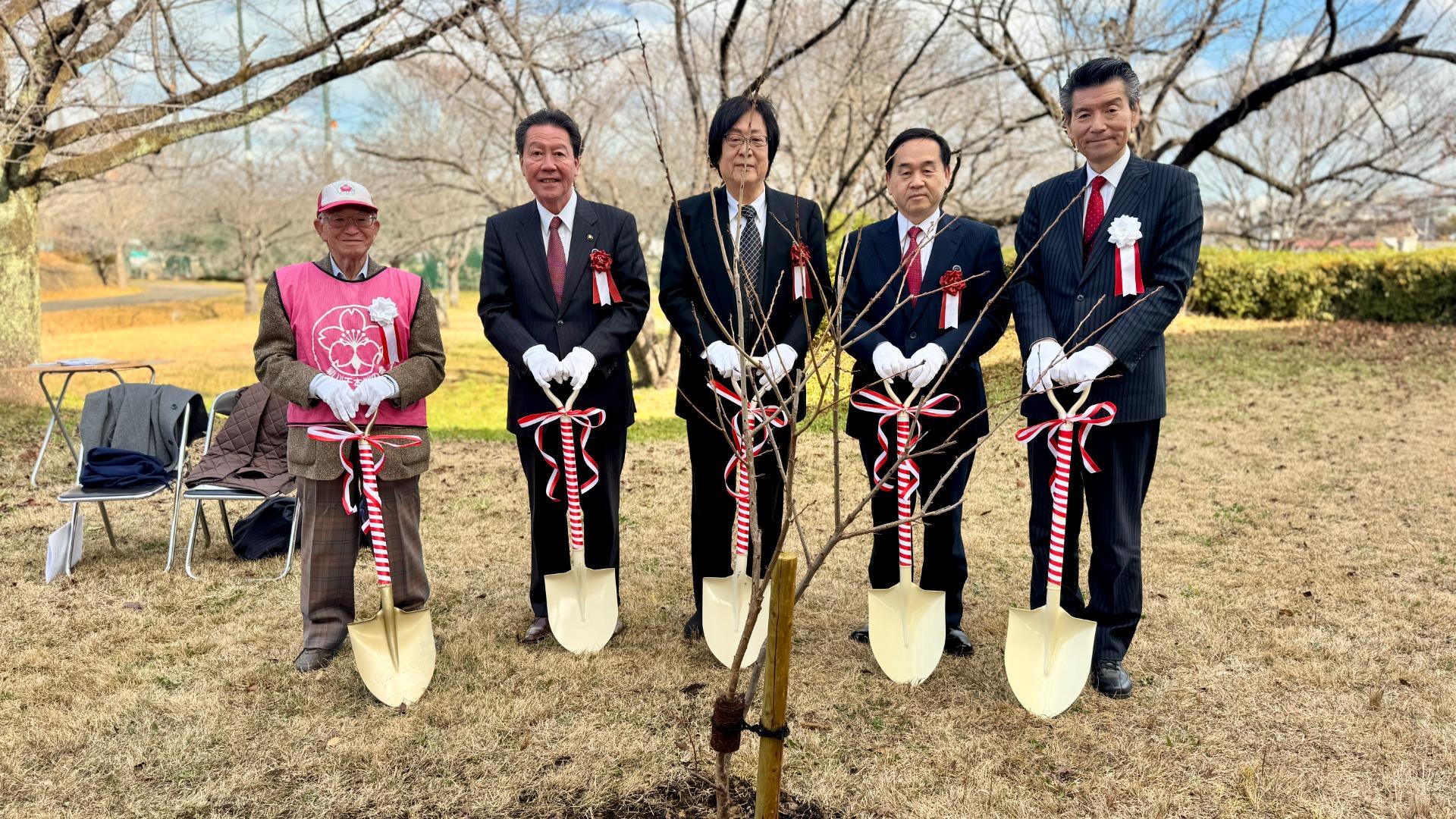 【八千代市】ワシントンから「里帰り」した平和の桜、総合運動公園に植樹。100年を超える歴史が繋ぐ縁