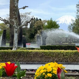 【御殿場市】富士山と水の共演！晴れた日には虹が見えるかも 『中央公園』は無料で楽しめる穴場
