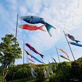 【みやま市】みやまの空に鯉のぼりが泳ぐ！　「鯉恋来～こいこいこい～」が５月５日に開催されます！