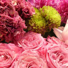 質の高いレアなお花が勢揃いの街のフラワースタンド　阪急武庫之荘駅近くのオシャレな花屋『plum』へ行ってきました　尼崎市