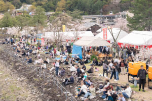 「第５０回 宇治川さくらまつり」に行ってきました！日曜日は約７万８千人が来場！【京都府宇治市】
