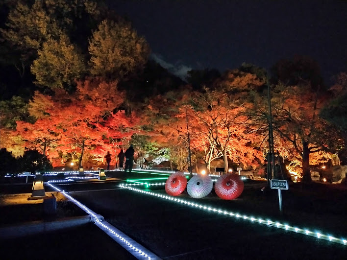 【松山市・松山城二之丸史跡庭園】紅葉（2026年版）