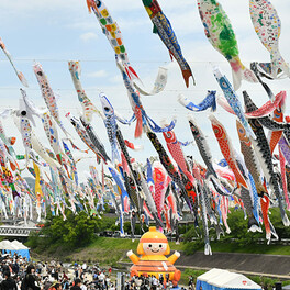 【高槻】芥川の上空を1000匹のこいのぼりが泳ぐ！春の恒例イベント開催