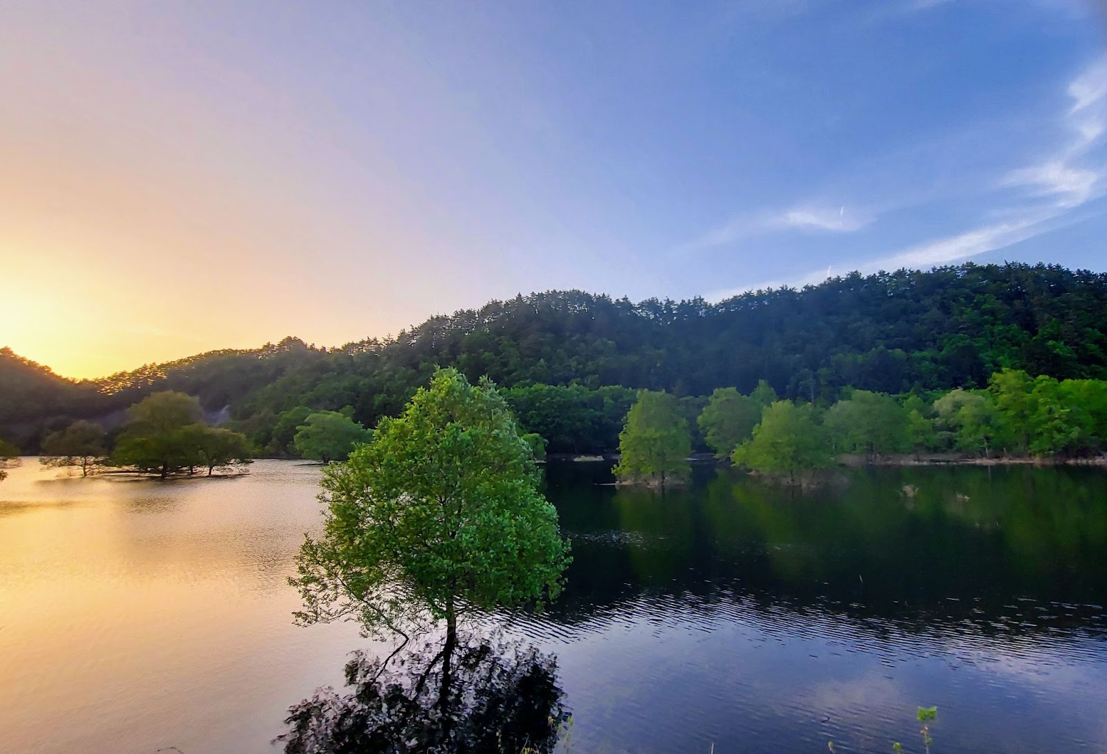 春限定の絶景「水没林」　夕景のダム湖に眠る集落の記憶【山形県米沢市】