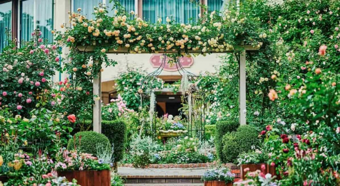 神戸の山上で優雅に楽しむ 「Rose & Lavender Fair 2026 -ハーブガーデン最盛期-」 神戸市
