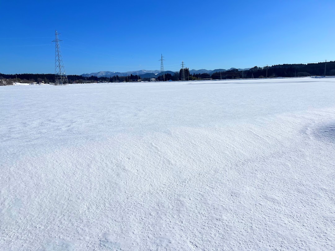 「かたかた雪」が現れた。年に数日だけ出会える童話の雪原【秋田県大仙市】