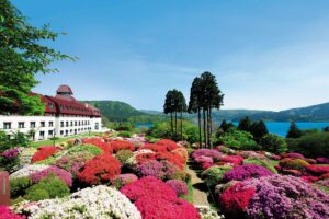 今年もまた芦ノ湖畔の「山のホテル」のツツジ、シャクナゲが咲き誇る庭園が迎えてくれる、箱根の風物詩の季節がやって来る