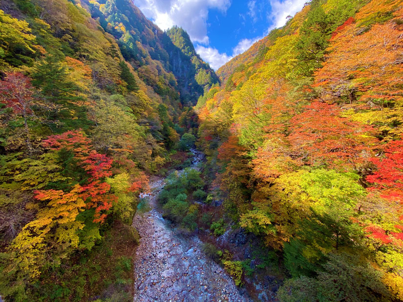 【長野県･紅葉2026】北アルプスの自然に囲まれた秋の絶景！温泉と3つのダムのある「高瀬渓谷」エメラルドグリーンの清流に映える紅葉のコントラスト＠大町市