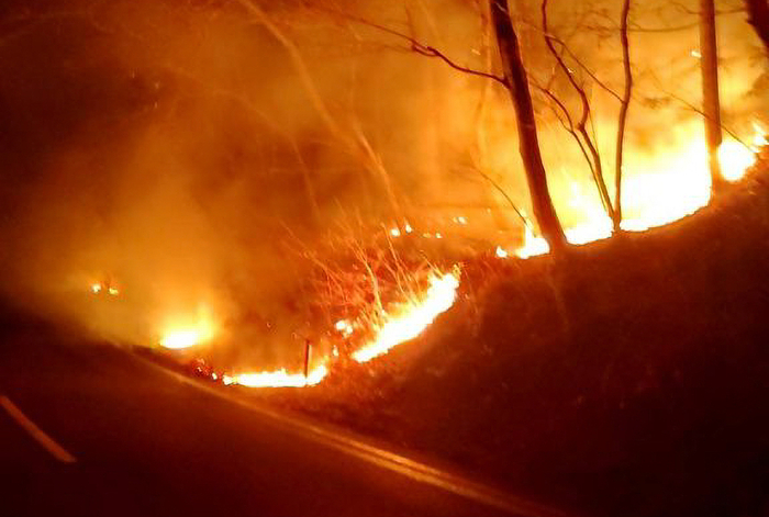 上越地域消防局が林野火災注意報・警報を導入　発令時は屋外での火の使用制限も