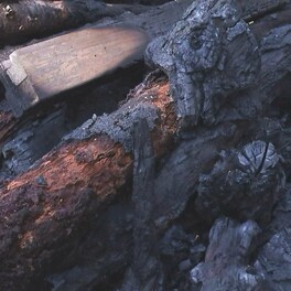 公園で伐採した木など燃える火事 不審火の可能性も　大分・中津市