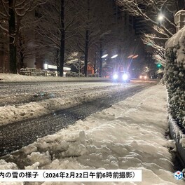 東北太平洋側で積雪に　仙台は積雪10センチ超える　交通機関への影響に注意