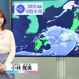【動画】29日の天気 - 西～東日本で本降りの雨　東日本の山沿い あす朝にかけて大雪に注意（29日7時更新）