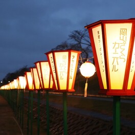 いよいよ 春彩る「岡山さくらカーニバル」　29日の開幕前にライトアップ試験点灯