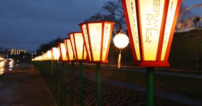 いよいよ 春彩る「岡山さくらカーニバル」　29日の開幕前にライトアップ試験点灯