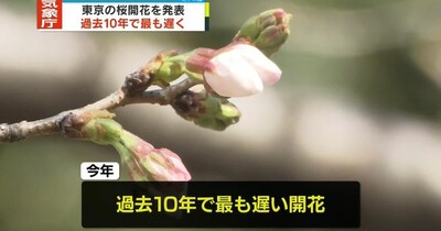 【速報】東京の桜ようやく開花　過去10年で最も遅い開花　気象庁