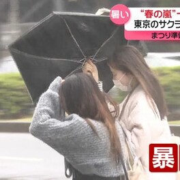 関東で“春の嵐”…台風並みの暴風雨に　午後には気温上昇　東京の桜も“開花”