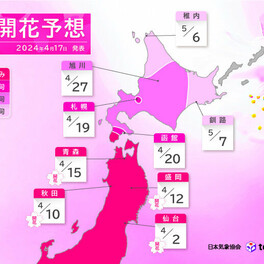 最新の桜開花・満開予想　桜前線は北海道を北上　札幌は19日に開花予想