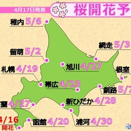 北海道の最新桜開花予想　函館より札幌が先に開花か