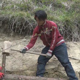 東日本大震災の被災地でも活躍した森林のプロ直伝の「自然の力」を使った森林再生
