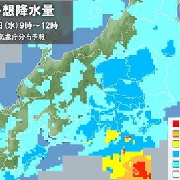 24日の関東は一日雨　雨脚強まる所も　最高気温20℃届かず空気ヒンヤリ