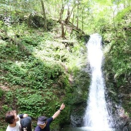 新緑の中を流れる清水 観光客癒やす　“津山の奥座敷” 横野滝（岡山県津山市）で滝開き