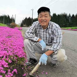 ポイ捨て防止にシバザクラの道　熊本・山都町の荒木さん　手入れ続けて15年