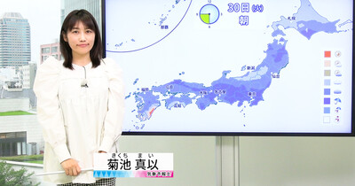 【動画】30日の天気 - 雲が優勢　傘の出番の所も　朝は関東・東海・近畿を中心に雨（29日18時更新）