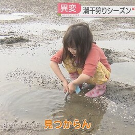 【なぜ】潮干狩りシーズンなのに…和白干潟のアサリに異変「小さい」「みそ汁にできない」大雨が影響か　福岡県全体も減少傾向